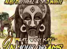 Afro Brotherz & Sky White In Your Dreams ft. Vinny Kay mp3 download