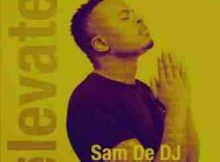 Sam De DJ Elevate Ft. Alie Key mp3 download