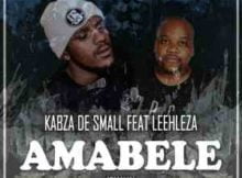 Kabza De Small Amabele Shaya Remix Video ft. Leehleza mp4 download free