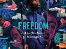 Zakes Bantwini Freedom ft. Moonga K mp3 download free datafilehost music audio song fakaza hiphopza afro house king zamusic flexyjam feat