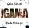 Gaba Cannal iGama ft. Dladla Mshunqisi mp3 download
