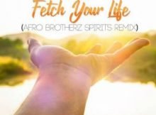 Prince Kaybee Ft. Msaki Fetch Your Life Afro Brotherz Spirits Remix mp3 download