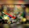 DJ Ace & Real Nox Made in SA (Amapiano mix) mp3 download