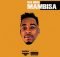 Mas Musiq – In'n'Out ft. Dj Maphorisa, Kabza De Small, Team Mosha & BlakLez in and out mp3 download