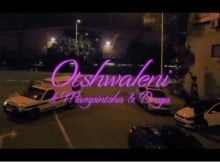 Babes Wodumo – Otshwaleni Video ft. Mampintsha & Drega mp4 official download