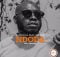 DJ Lesh SA ft. Sekiwe - Ndoda (LiloCox Remix) mp3 download