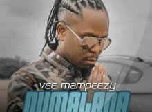 Vee Mampeezy – Dumalana ft. Dr Tawanda mp3 download