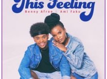 Benny Afroe & Ami Faku – This Feeling mp3 free download original mix