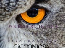 Caltonic SA – Bathi Ngiyathakatha ft. YourGuurl Dj Lola mp3 download