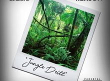DJ Zan D - Jungle Drill ft. Reason mp3 download