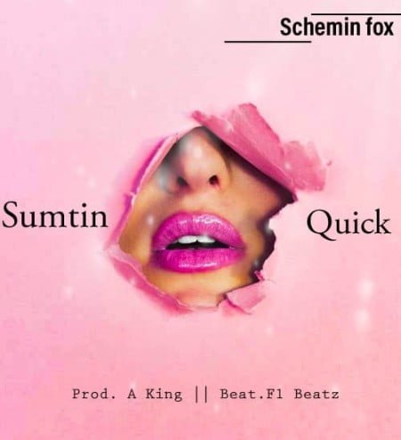 Schemin Fox - Sumtin Quick mp3 download