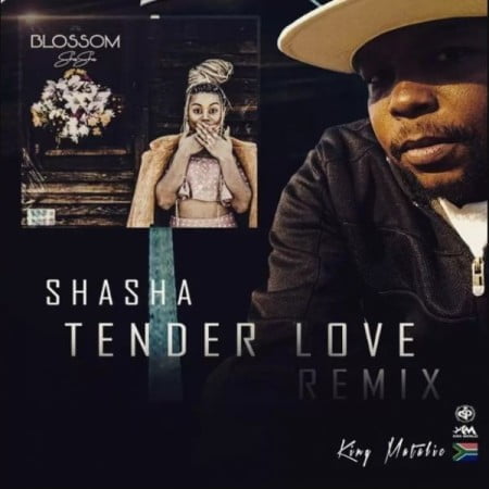 Sha Sha – Tender Love (King Matalic SA Remix) mp3 download ft Kabza De small and DJ Maphorisa