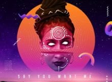 Skindeep – Say You Want Me ft. Dee Cee mp3 download