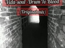 Vida-soul - Drum To Blood (Original Mix) mp3 download