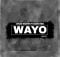 Deejay Maestro - Wayo ft. Cassie Vibez mp3 download