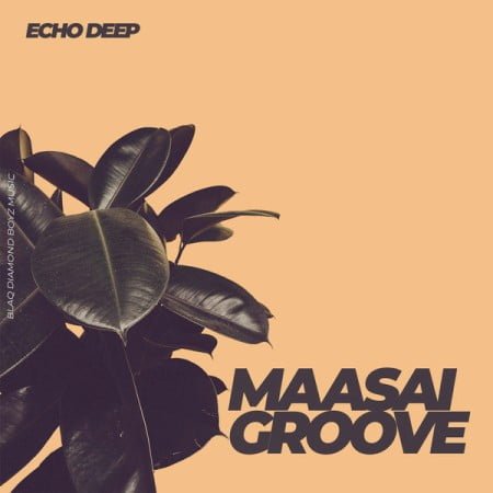 Echo Deep - Maasai Groove (Original Mix) mp3 download