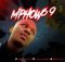 Mphow 69 – No One Can Stop Us ft. Kelvin Momo & Mdu aka TRP mp3 download
