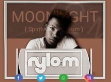 Nylo M - Moonlight (Spiritual Afro Drum) mp3 download