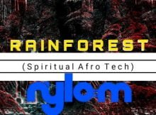 Nylo M - Rainforest (Spiritual Afro Drum) mp3 download