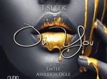 T Sleek – On You Ft. Emtee & Ashleigh Ogle mp3 download