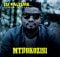 DJ Palture – Mthokozisi Ft. Mr. Chillax mp3 download
