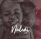 DJ Mandy & Gaba Cannal Naledi (Original Mix) mp3 download