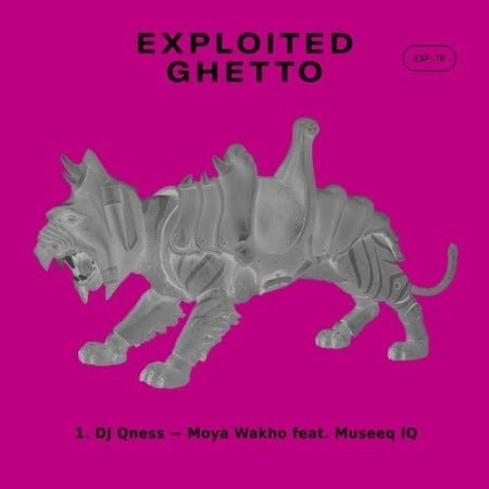 DJ Qness Moya Wakho Ft. Museeq IQ mp3 download