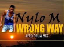 Nylo M Wrong Way (Afro Drum) mp3 download