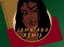 Stepdaddy Lomntana Remix Ft. Zingah & Focalistic mp3 download