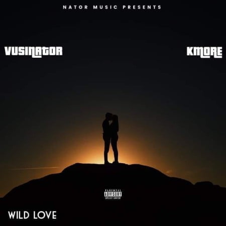 Vusinator Wild Love ft. Kmore mp3 download