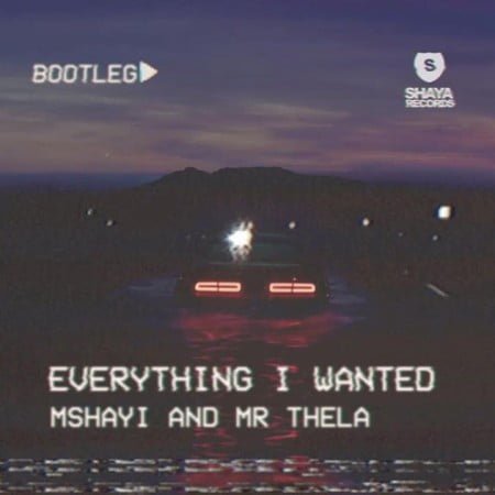 Mr Thela & Mshayi – Everything I Wanted (Bootleg) mp3 download free remix Billie Eilish
