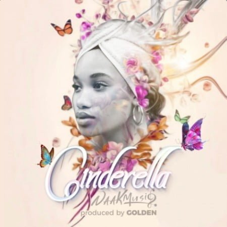 NaakMusiQ - Cinderella mp3 download free