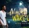 Nylo M - Wake Up (Original Mix) mp3 download free