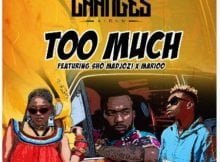 Rj The Dj – Too Much Ft. Sho Madjozi & Marioo mp3 download free