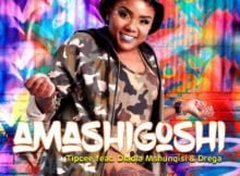 Tipcee – Amashigoshi ft. Dladla Mshunqisi, Drega mp3 download free