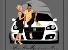 DragerNation - You Really Love Me ft. Noxolo mp3 download free