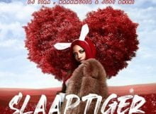 Gigi Lamayne – Slaap Tiger ft. DJ Tira, Naakmusiq & Just Bheki mp3 download free