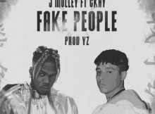 J Molley – Fake People ft. Ckay mp3 download free
