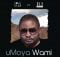 Soul Star – uMoya Wami ft. 2Point1 mp3 download free