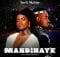 Sun-EL Musician - Mandinaye ft. Ami Faku mp3 download free