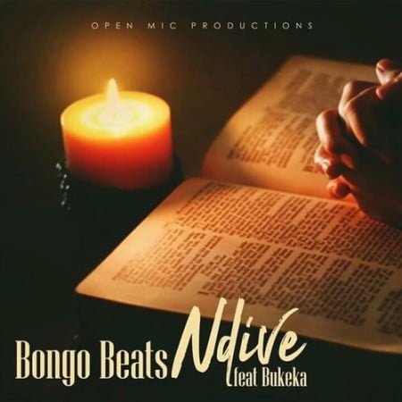 Bongo Beats – Ndive ft. Bukeka mp3 download free