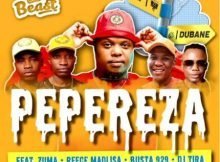 Beast – Pepereza ft. DJ Tira, Reece Madlisa, Zuma, Busta 929 mp3 download free