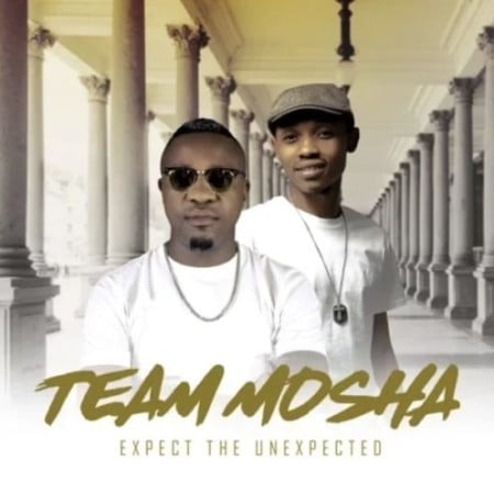 Team Mosha – Shonamalanga ft. Shimza & Twist mp3 download free