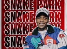 Cyfred - Snake Park ft. Mr JazziQ, Mellow, Sleazy, Seekay & Fake Love mp3 download free