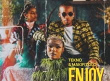 Tekno – Enjoy (Remix) ft. Mafikizolo mp3 download free