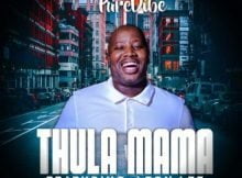 PureVibe – Thula Mama ft. Leon Lee mp3 download free