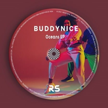 Buddynice – Idlozi Lam (Original Mix) mp3 download free lyrics full song