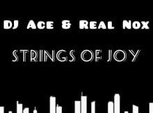DJ Ace & Real Nox - Strings of Joy mp3 download free