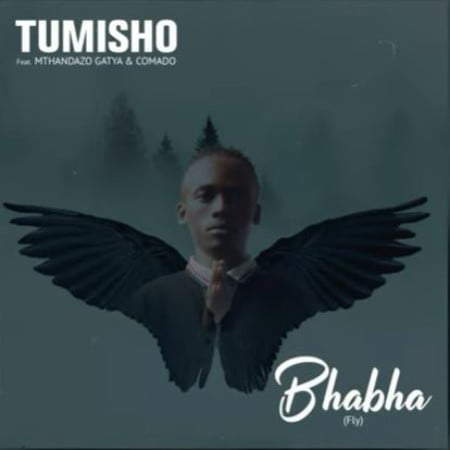 Tumisho – Bhabha (Fly) ft. Mthandazo Gatya & Comado mp3 download free lyrics