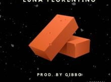 Luna Florentino – Bricks mp3 download free lyrics